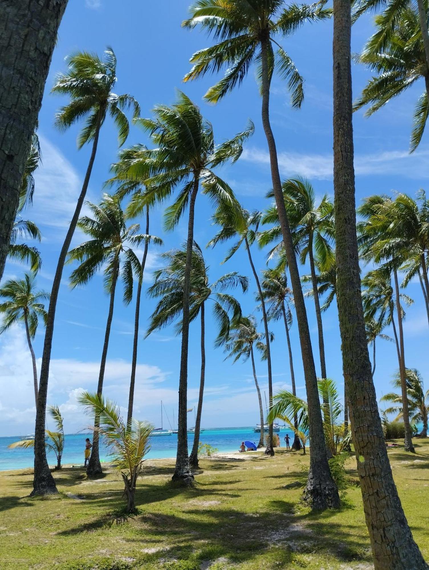 Tema'E Beach House Temae 外观 照片