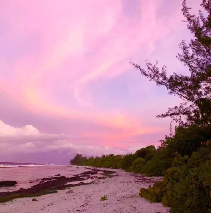 Tema'E Beach House Temae 外观 照片