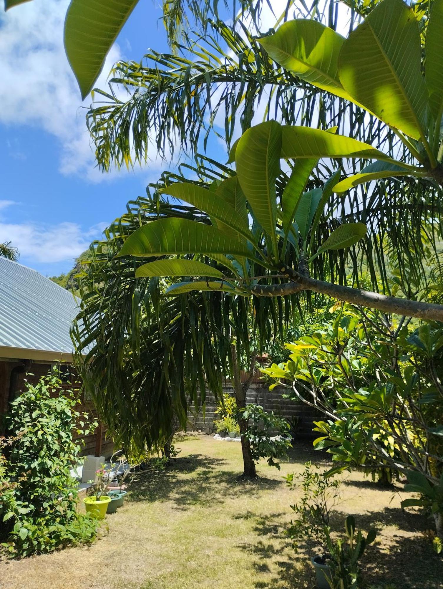 Tema'E Beach House Temae 外观 照片